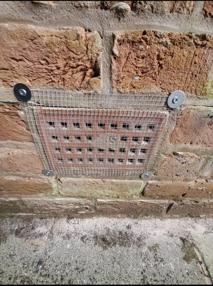 Exterior airbrick fitted with pest proofing mesh