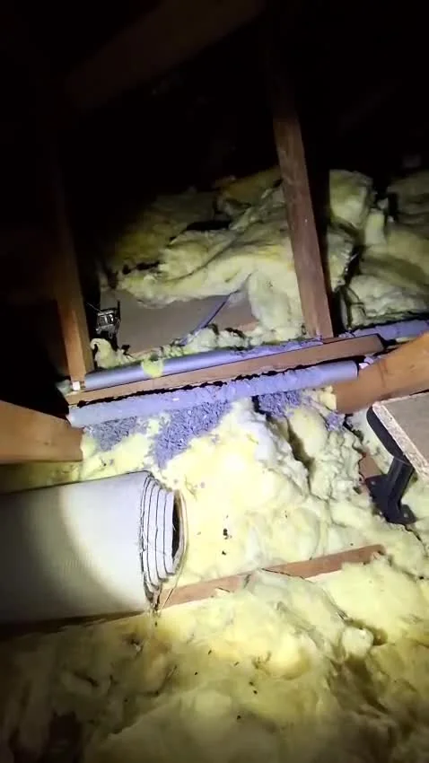 Loft inspection footage supplied by Beetle Juice